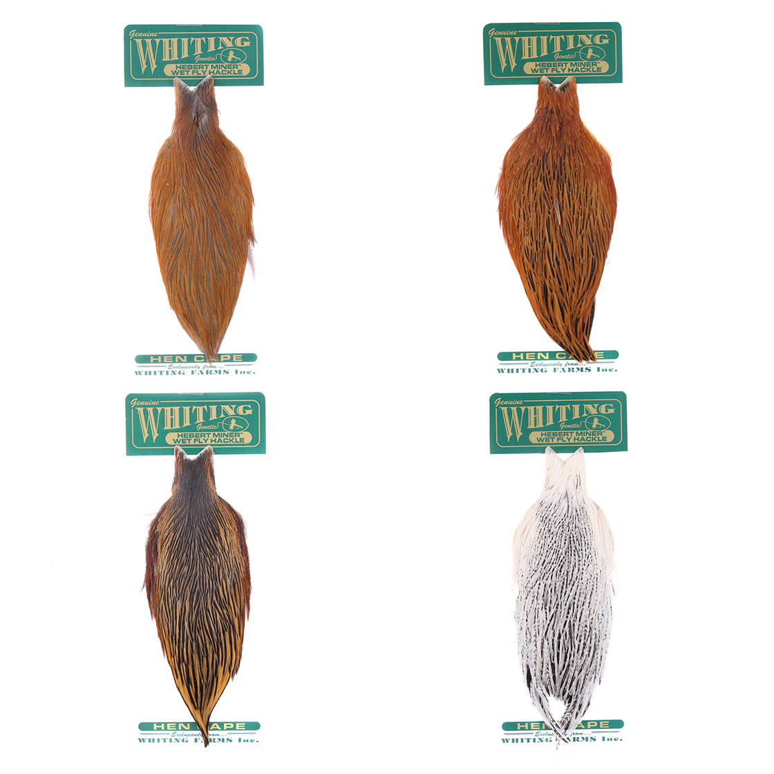 Whiting Hebert Hen Cape
