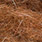 12 brown dark