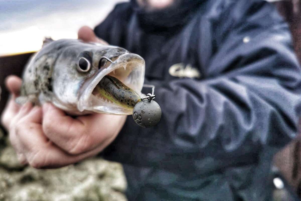 Fisherino_tungsten_Jighead_kiwi_matt_Mustad_5