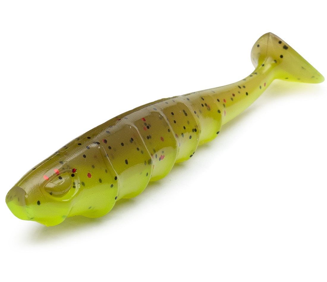 Nays_PRDTR_C-05_1 C-05