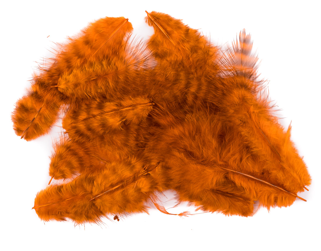 burnt orange