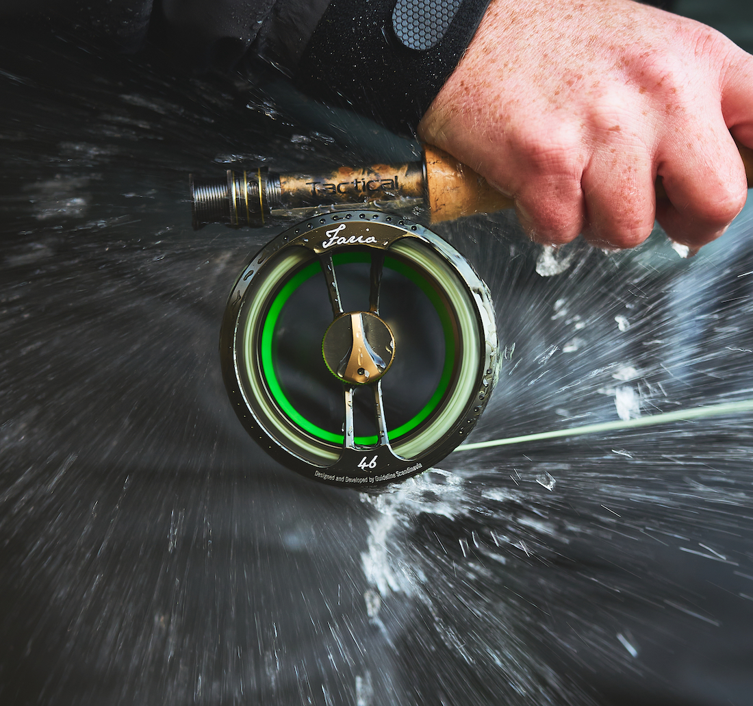 P-23761_Guideline_Fario_LW_3