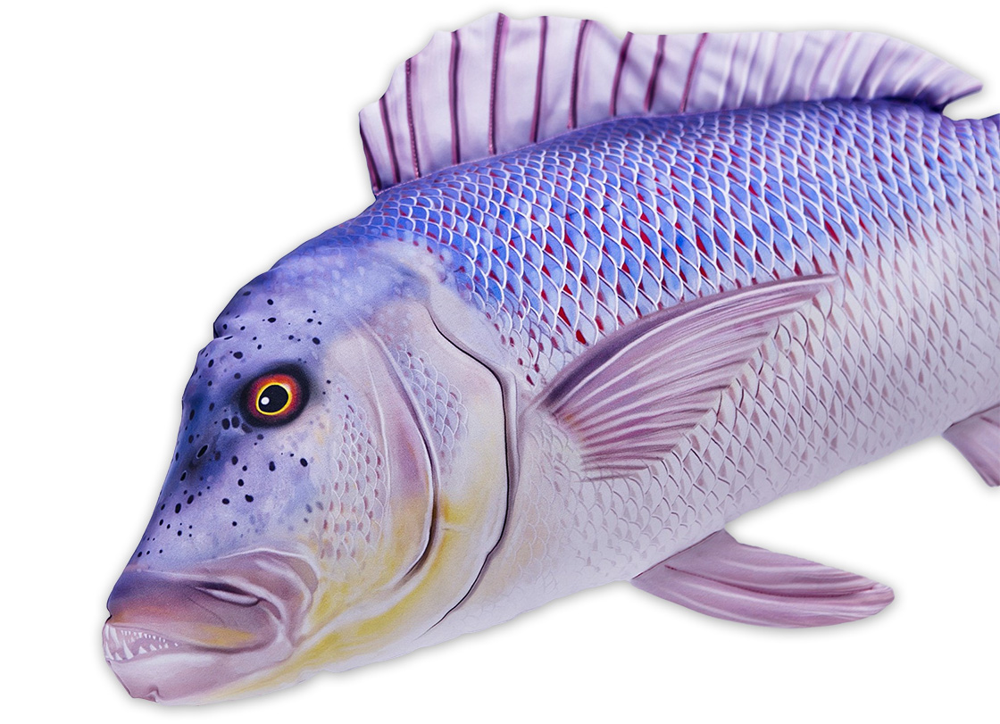 P-29199_Fischkissen_Kuscheltier_Dentex_80cm_detail