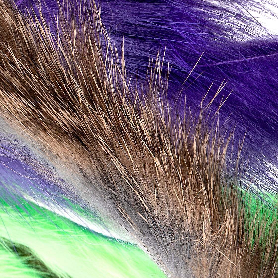 Fly Scene Rabbit Zonkerstrips