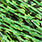 fluo chartreuse barred