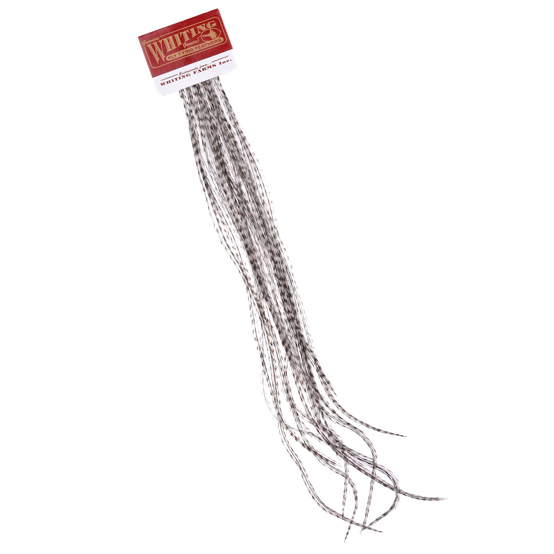 P-25415_Whiting-100-Pk-Size-6-Grizzly_