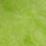 green olive