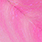 hot pink/pink
