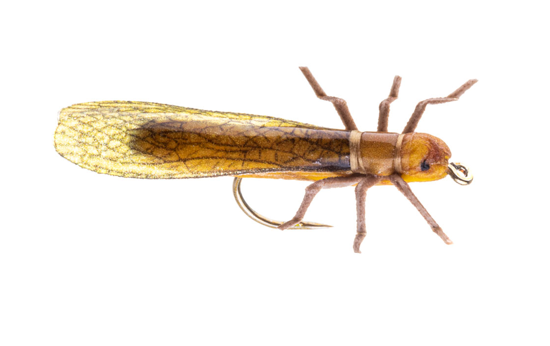 Vania Realistic Golden Stonefly 