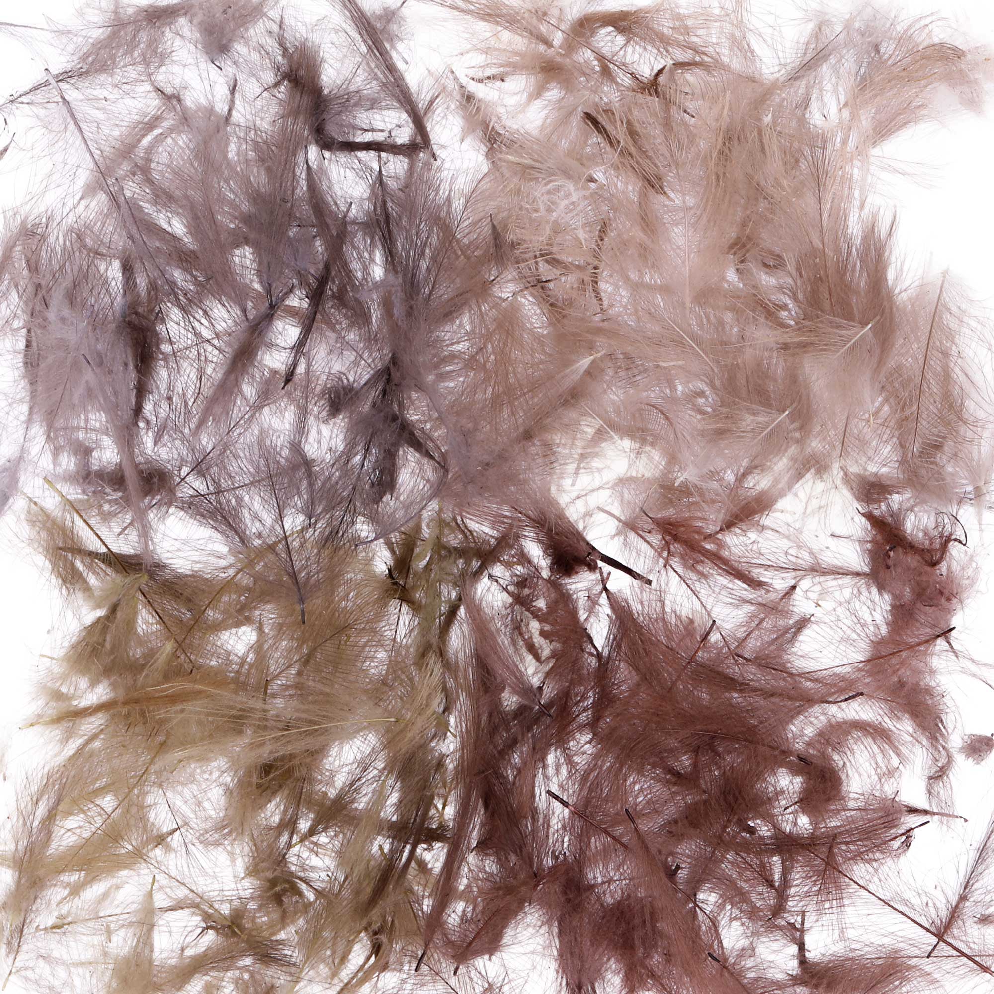 Soldarini Wild CDC Feather 0.6 g Pack