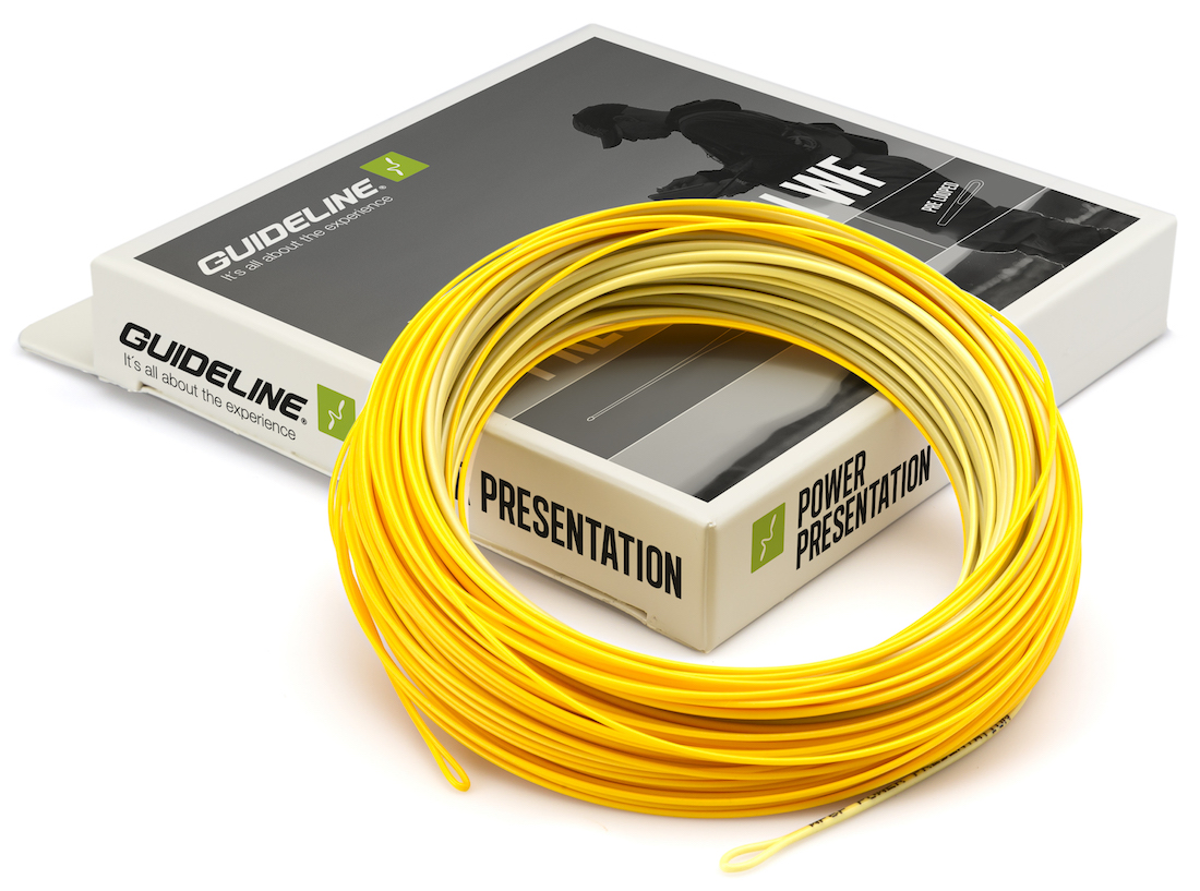 Guideline-Power-Presentation-WF