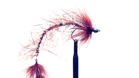 Fly Tying Video: Borsteormen