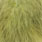 white dyed olive