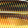 golden smelt