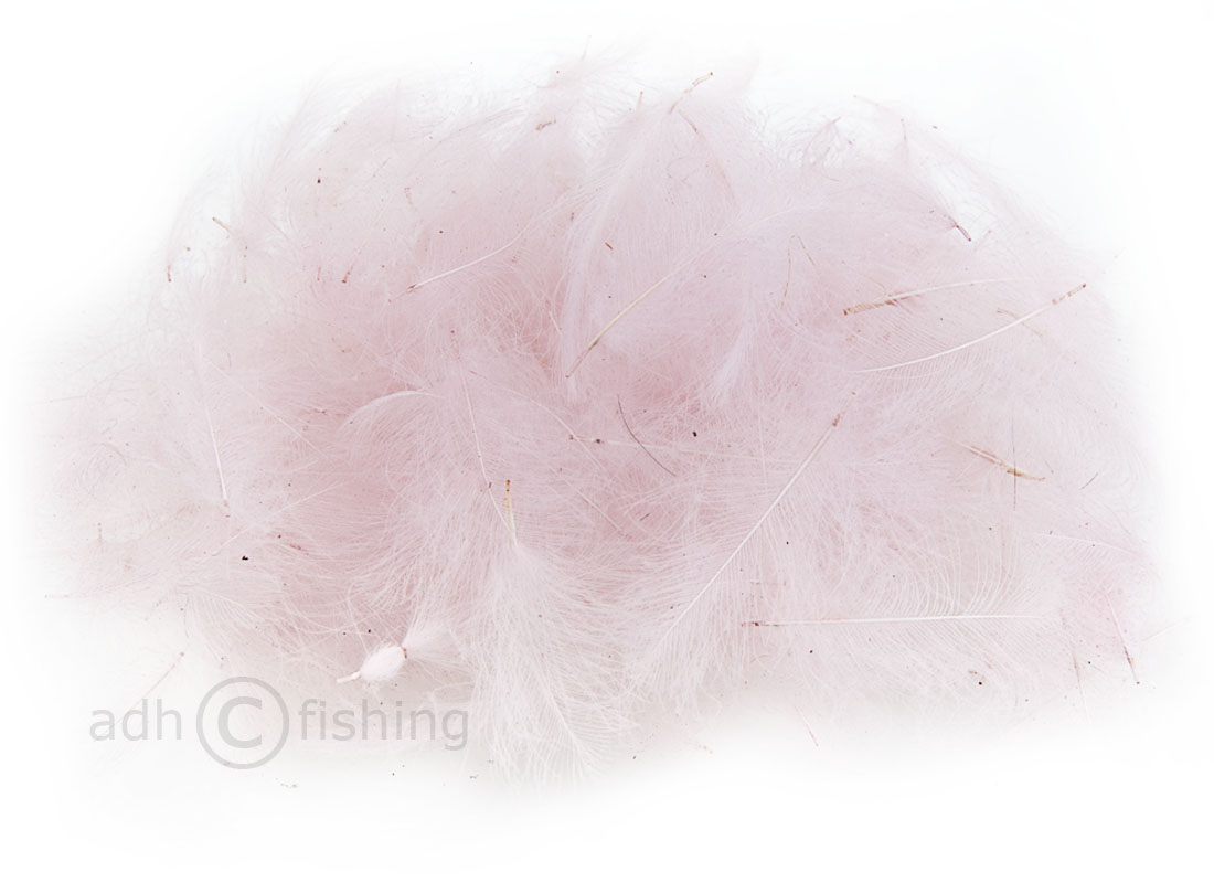 SwissCDC_CDCFeathersStandard100_03_Anemone_hi 03 anemone