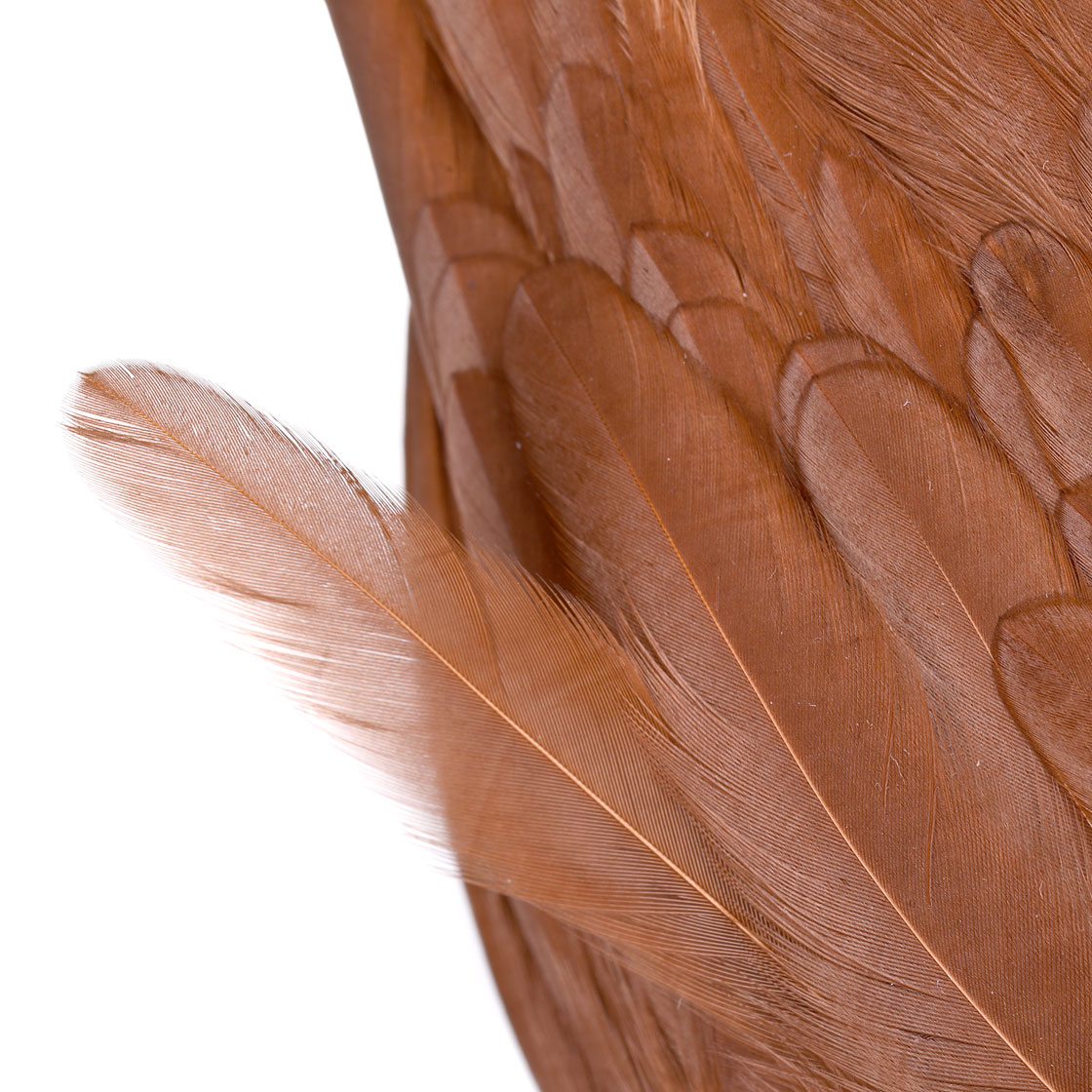 P-25432_Whiting-Rooster-SH-C_detail_3