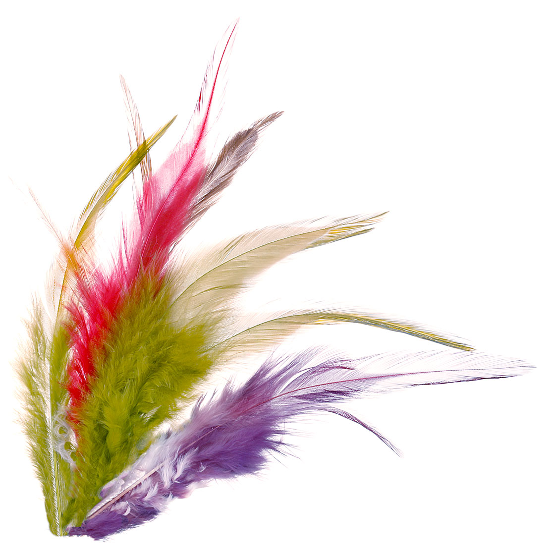 P-01114-Fly-Scene-Strung-Saddle-Hackle-titel-2
