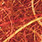 blaze orange