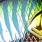 emerald shad #58