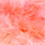shrimp pink