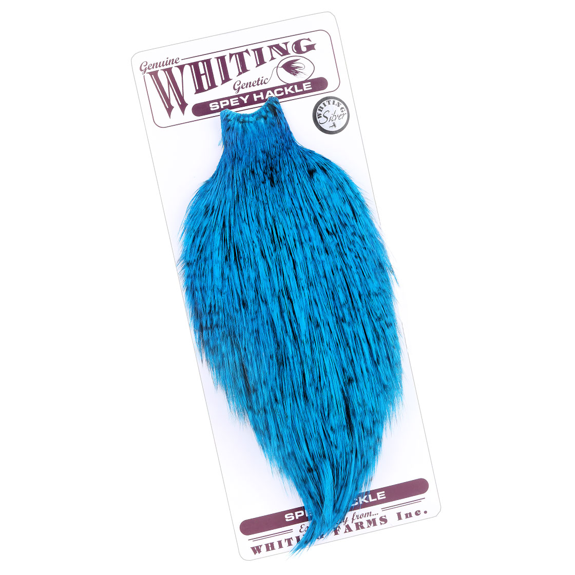 grizzly kingfisher blue