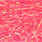 41 fluo pink