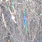 sea lice silver