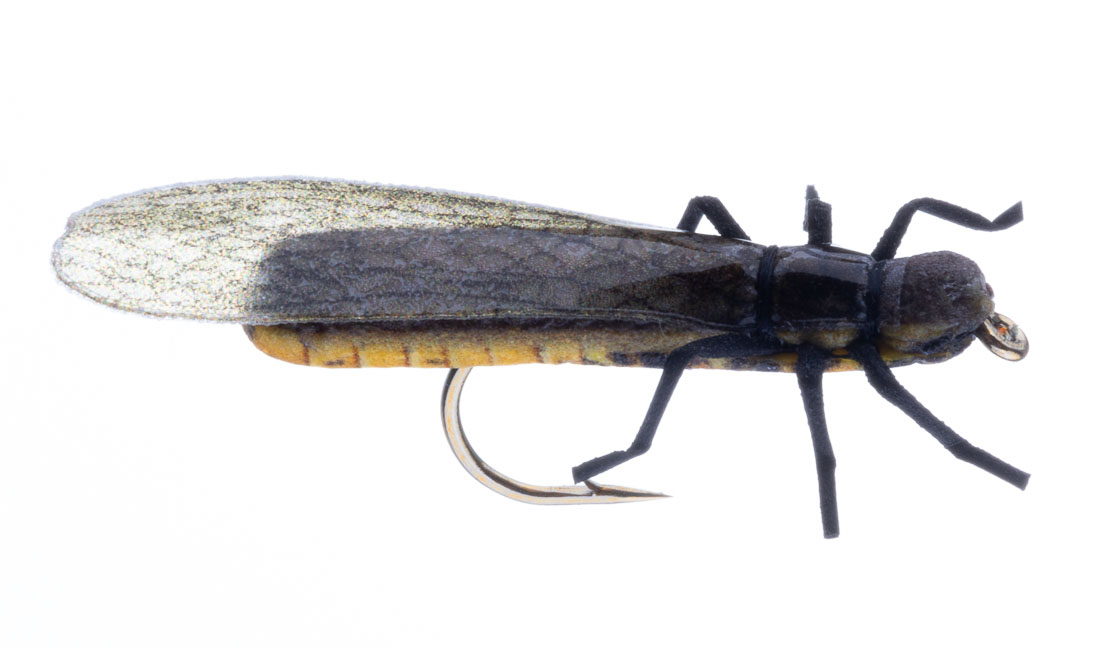 Vania Realistic European Stonefly Dry Fly