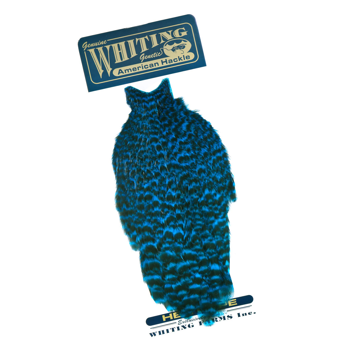 grizzly dyed kingfisher blue