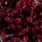 blood red