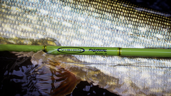 Wir testen: Vision Pikemaniac Fliegenrute - der neue Preis-Leistungs-Star am Hechthimmel  adh-fishing Test: Vision Pikemaniac Fly Rod - the new price-performance star on the pike horizon