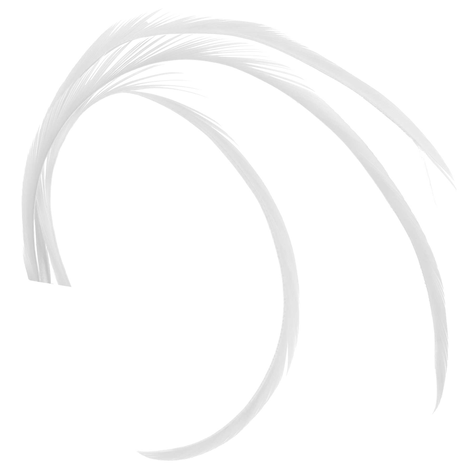 Soldarini Goose Biots