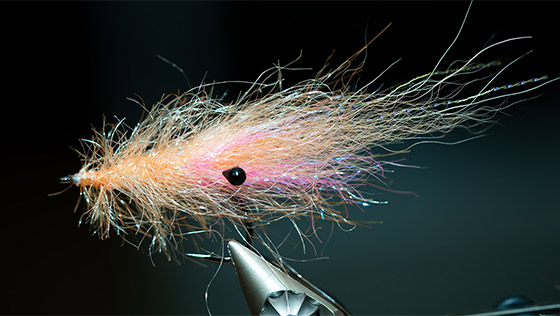 Tying video 'Chenille Shrimp' Sea Trout patterns with Florian Gräser