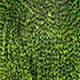 grizzly dyed fluo green chartreuse