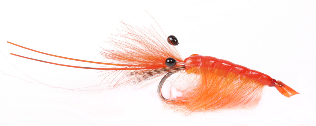 guideline_orange_cdc_shrimp_wnANd5U744kmA