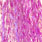 pink uv barred