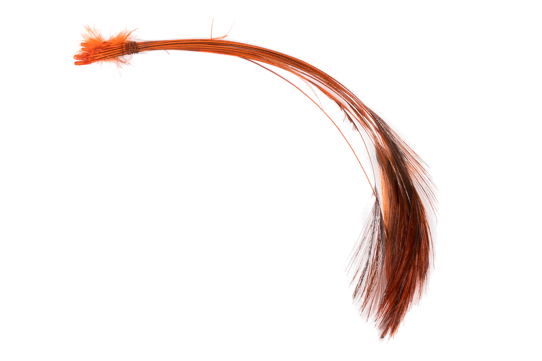 veniard_ready_stripped_hackle_quills_orange orange