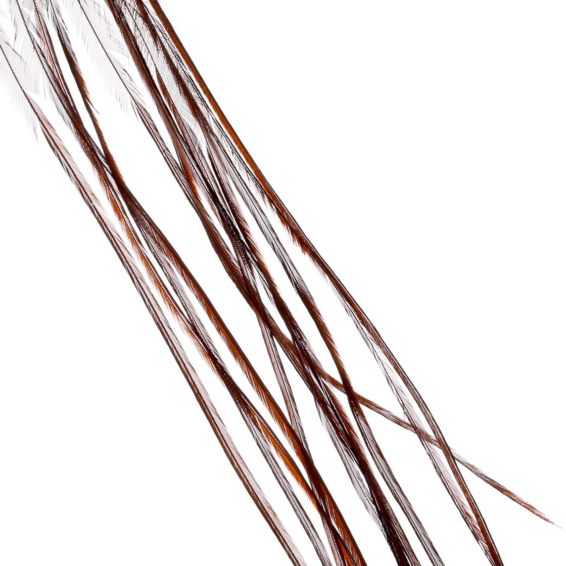 white dyed coachman brown