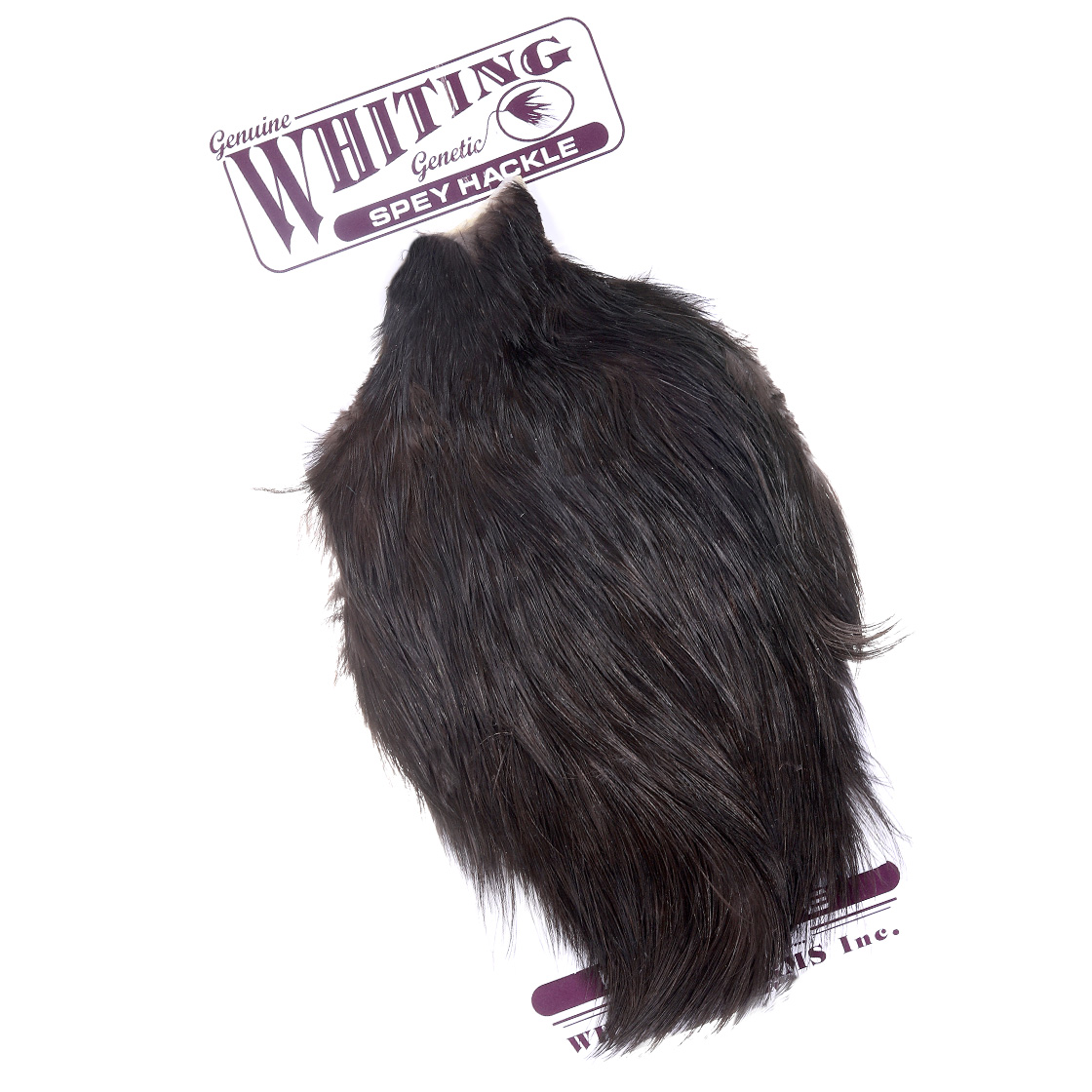 Whiting Spey Hackle Hen Cape Whiting Spey Hackle Hen Cape