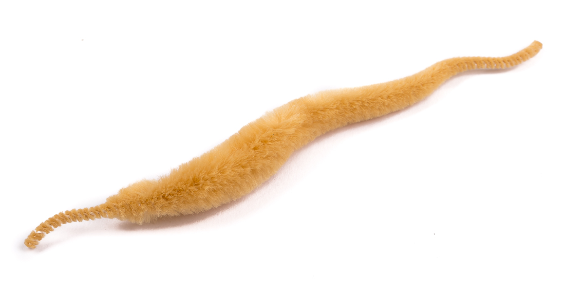 tan
