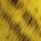yellow black barred
