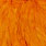 burnt orange