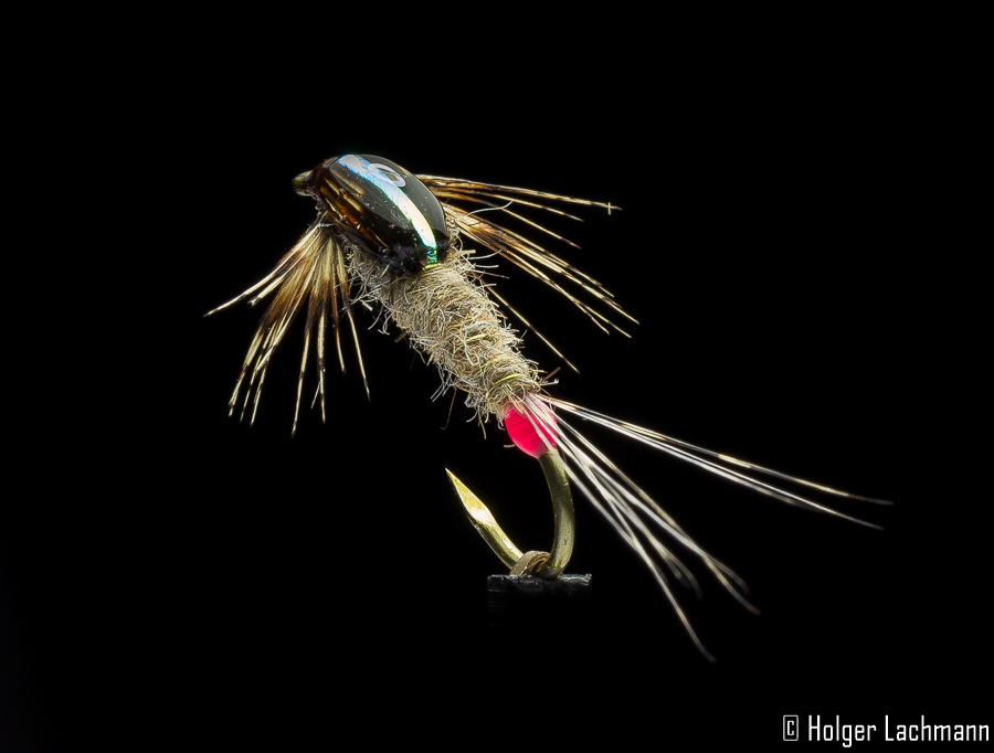 Holger_Lachmann_Whiting_Coq_de_Leon_Beispiele_6 Beispiel Fliege (Holger Lachmann)
