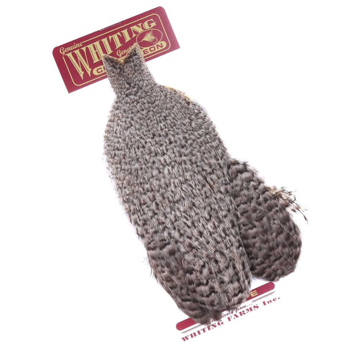 Whiting Coq de Leon Hen Cape unique variant