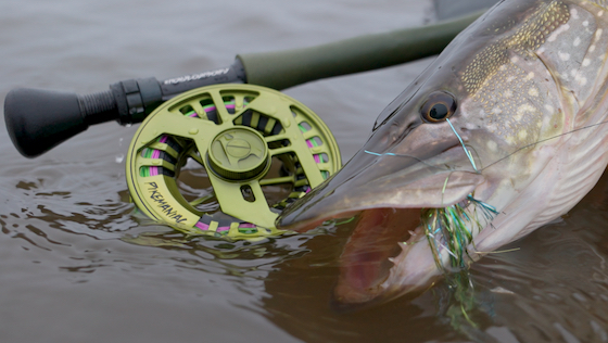 adh-fishing Test: Vision Pikemaniac Reel & Lines