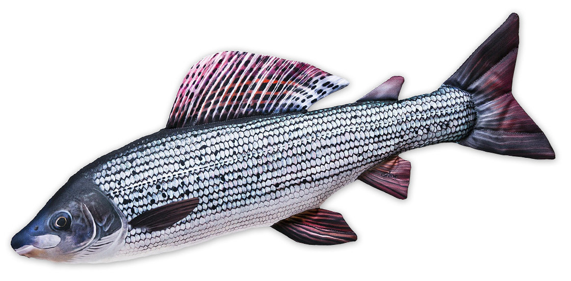 P-29185_Fischkissen_Kuscheltier_Asche_65cm Fish Pillow Soft Toy Grayling 65cm