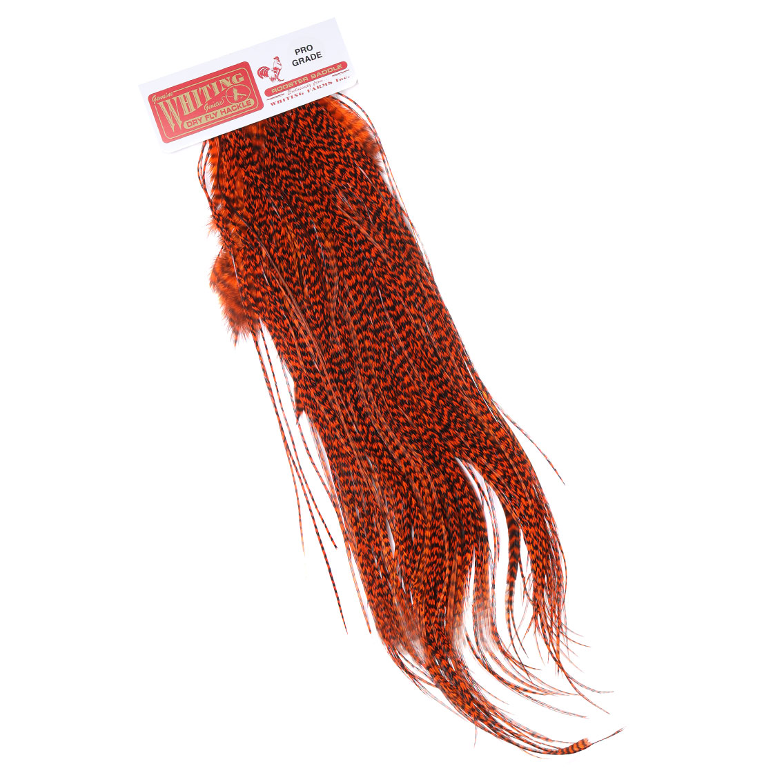 grizzly dyed orange