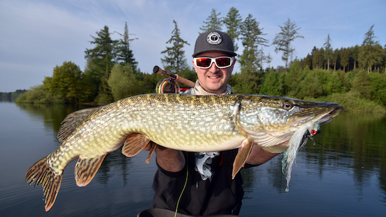 Successful start into the Predator Season 