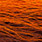 burnt orange