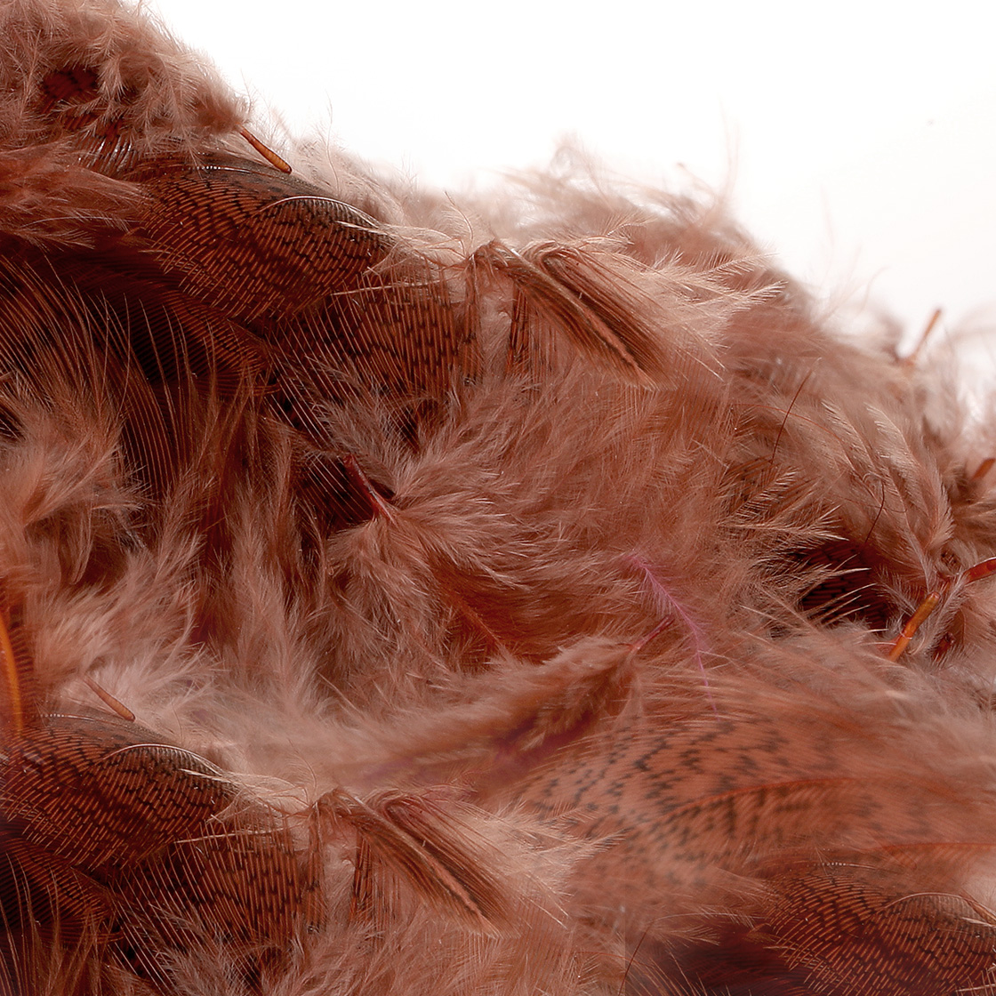 P-11424-7_Veniard-English-Partridge-1g-Rebhuhn_fiery-brown